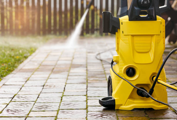Animal Enclosure Cleaning in Mystic Island, NJ